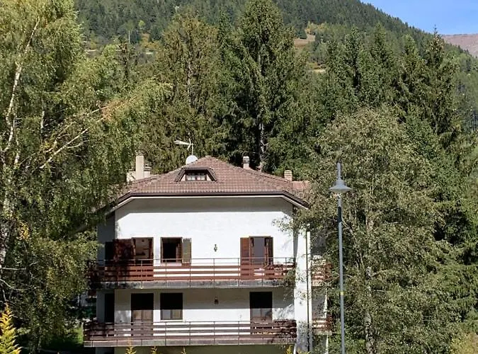 White Rock 蓬泰迪莱尼奥